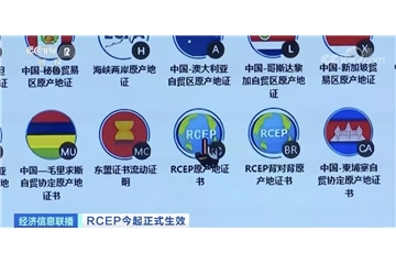 RCEP生效實(shí)施！以后買進(jìn)口汽車、護(hù)膚品、水果…便宜了！